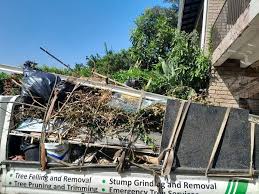 Best Shed Removal  in Gering, NE